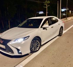 312961663 1459274417899676 3590871945272763361 n