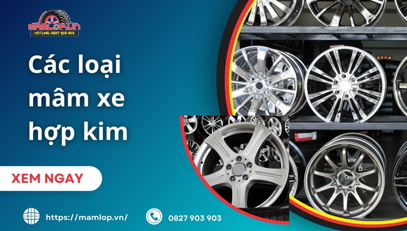 Cac loai mam xe hop kim