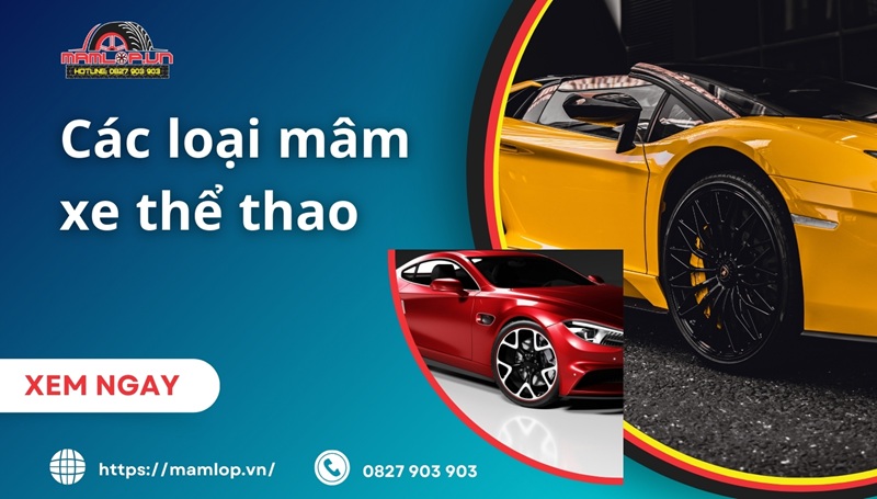 Cac loai mam xe the thao