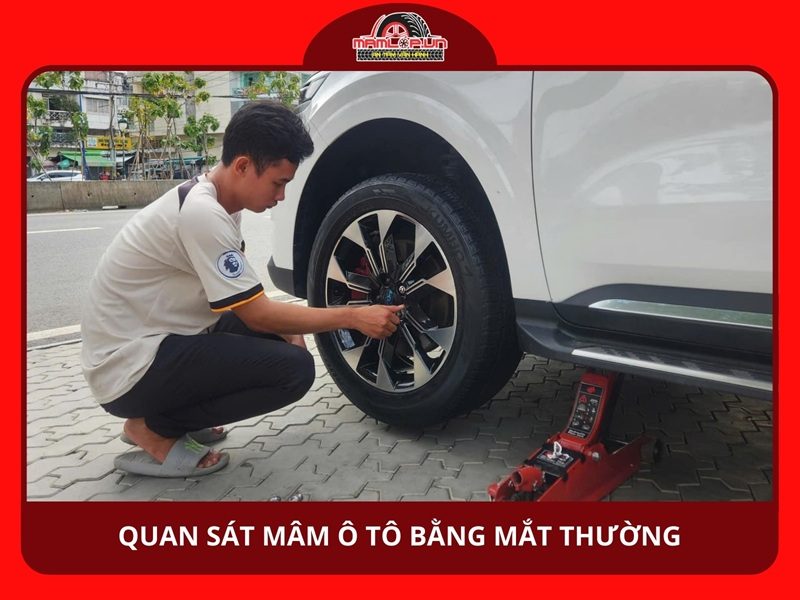 Quan sát mâm bằng mắt thường