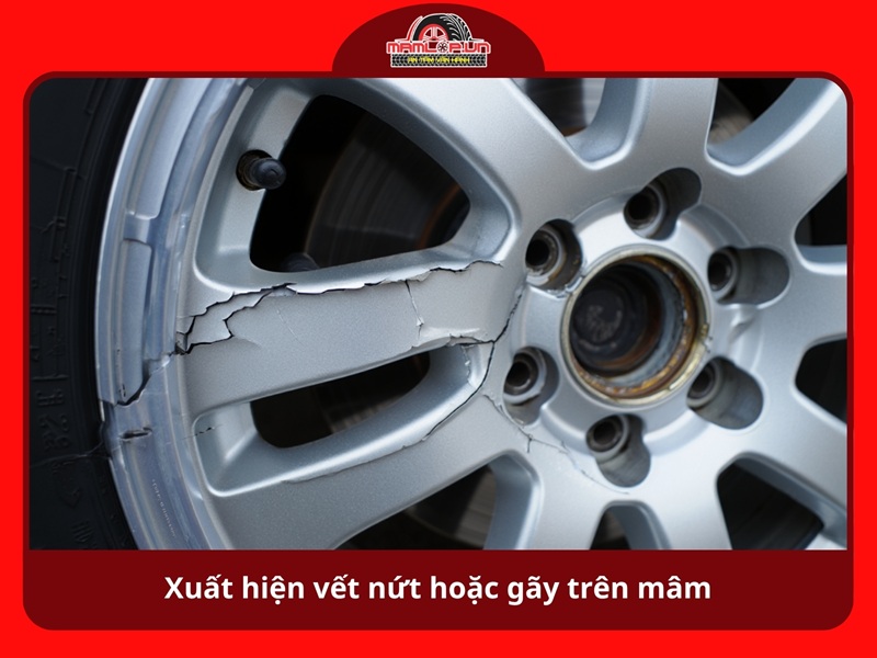 Xuất hiện vết nứt hoặc gãy