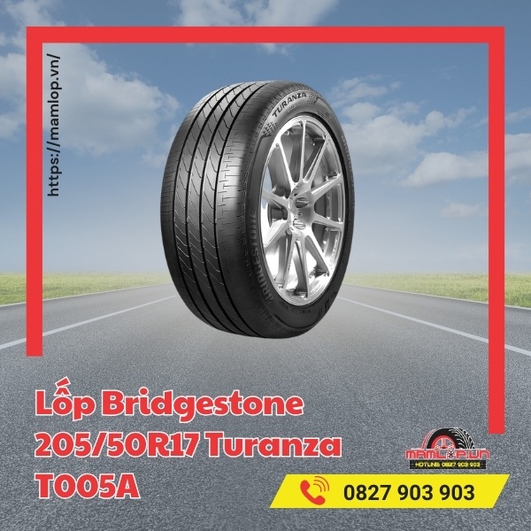 Lốp Bridgestone 205/50R17 Turanza T005A tương thích với xe gì?