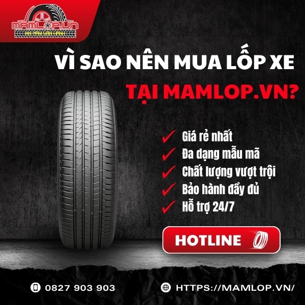 Nhà cung cấp lốp Bridgestone 215/60R17 Alenza 001 chính hãng giá tốt