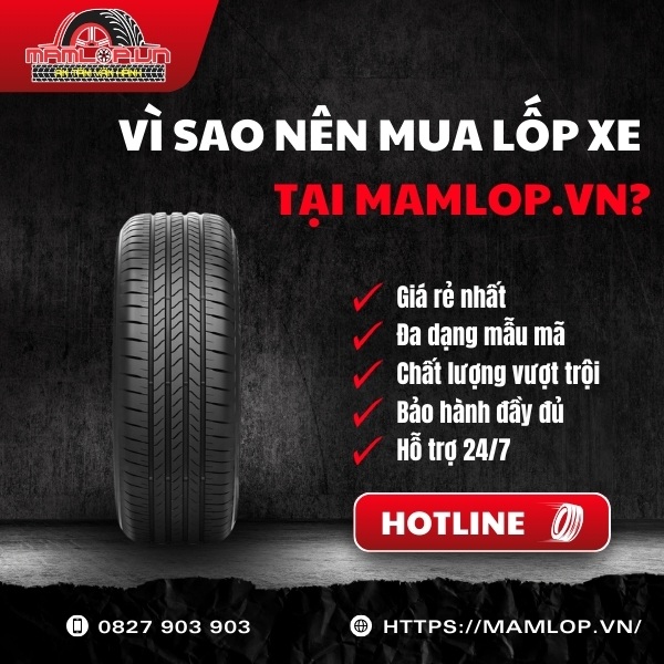 Mua lốp Bridgestone 225/55R16 Turanza 6 chính hãng ở đâu?