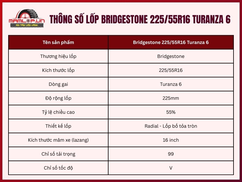 Thông số kỹ thuật vỏ ô tô Bridgestone 225/55R16 Turanza 6