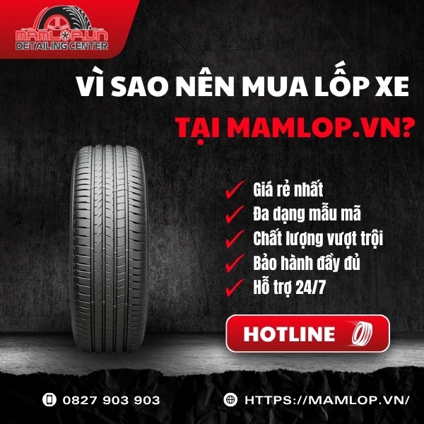 Địa chỉ cung cấp lốp Bridgestone 225/60R18 Alenza 001 uy tín giá tốt tại TPHCM