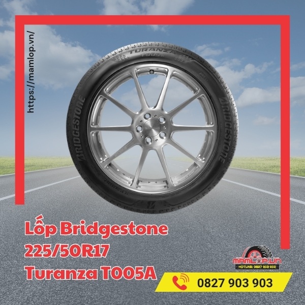 Lốp Bridgestone 225/50R17 Turanza T005A tương thích với xe gì?