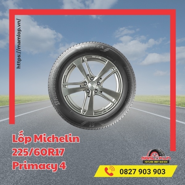 Lốp Bridgestone 225/60R17 Alenza 001 tương thích với xe gì?