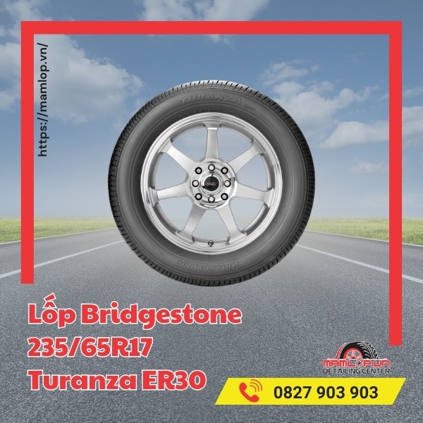 Lốp Bridgestone 235/65R17 Turanza ER30 tương thích với xe gì?