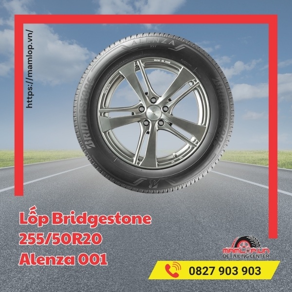 Lốp Bridgestone 255/50R20 Alenza 001 tương thích với xe gì?