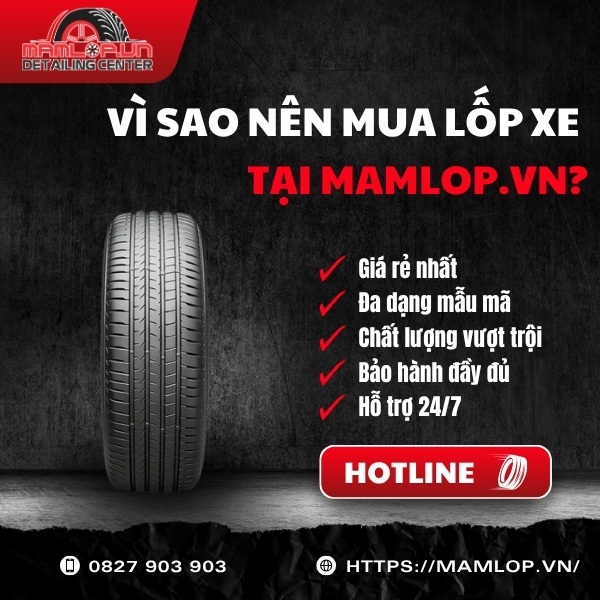 Địa chỉ mua vỏ Bridgestone 255/50R20 Alenza 001 chính hãng giá tốt tại TPHCM