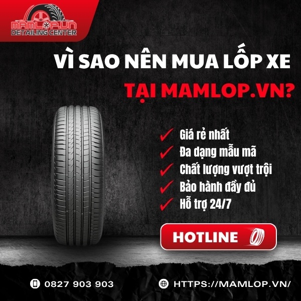 Địa chỉ phân phối lốp Bridgestone 285/50R20 Alenza 001 uy tín tại TPHCM