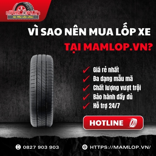 Mua lốp Dunlop 205/55R16 Enasave EC300 ở đâu chính hãng giá rẻ?