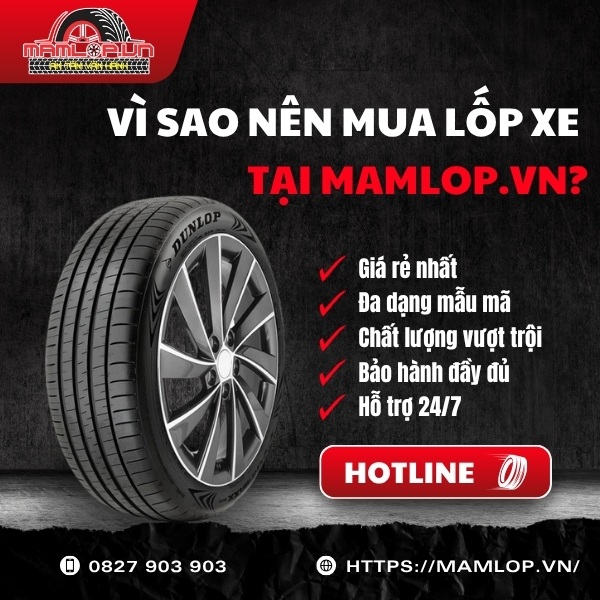 Địa chỉ phân phối lốp Dunlop 225/50R18 SP Sport Maxx 060 chất lượng giá tốt