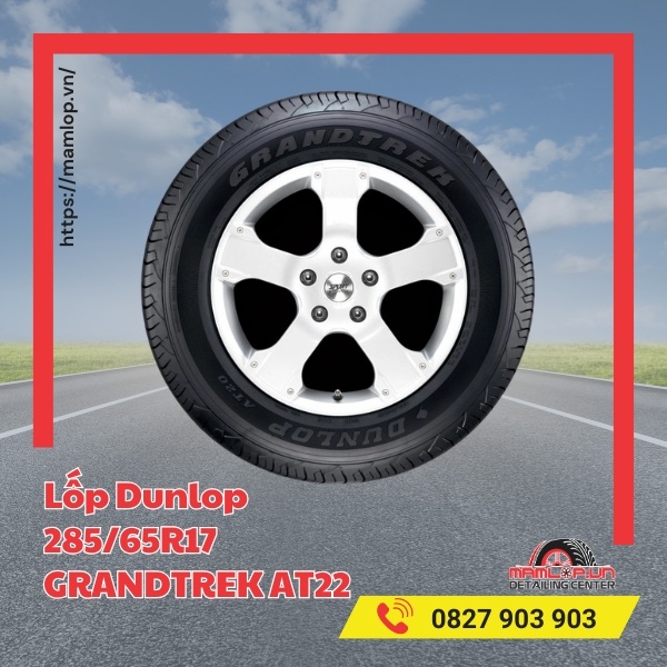 Dòng xe tương thích với lốp Dunlop 285/65R17 GRANDTREK AT22