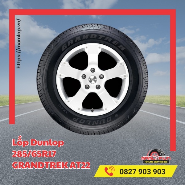 Dòng xe tương thích với lốp Dunlop 285/65R17 GRANDTREK AT22
