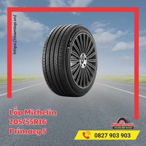 Lốp Michelin 205/55R16 Primacy 5 tương thích với xe nào?