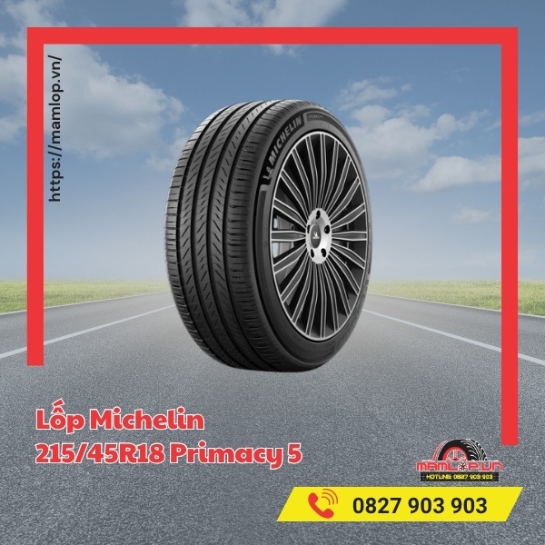 Lốp Michelin 215/45R18 Primacy 5 tương thích xe nào?