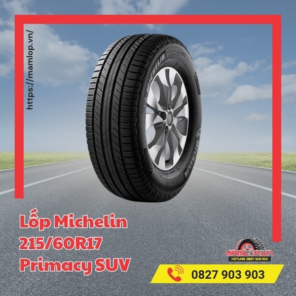 Lốp Michelin 215/60R17 Primacy SUV tương thích với xe nào?