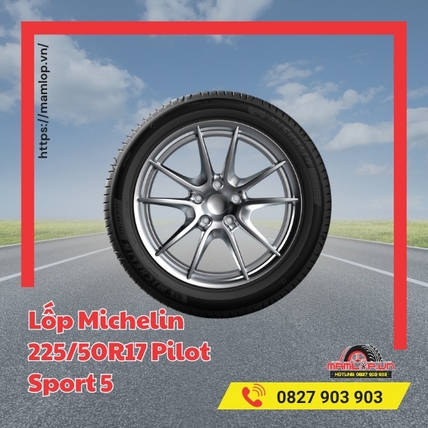 Dòng xe tương thích với lốp Michelin 225/50R17 Pilot Sport 5