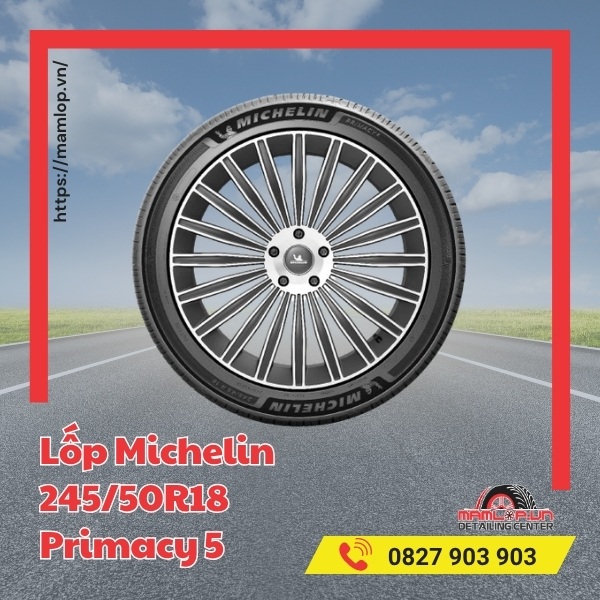 Lốp Michelin 245/50R18 Primacy 5 phù hợp với dòng xe nào?