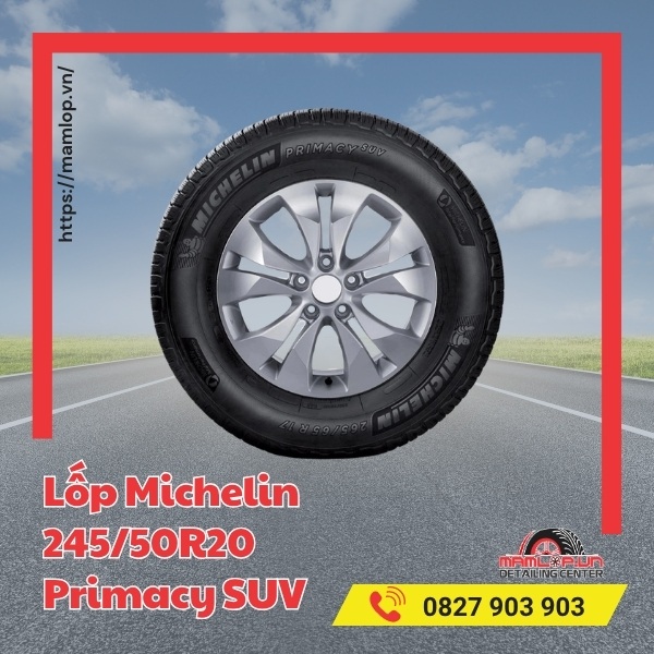 Lốp Michelin 245/50R20 Primacy SUV tương thích dòng xe nào?