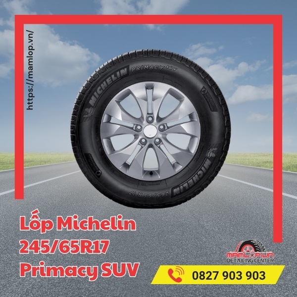 Lốp Michelin 245/65R17 Primacy SUV phù hợp với xe gì?