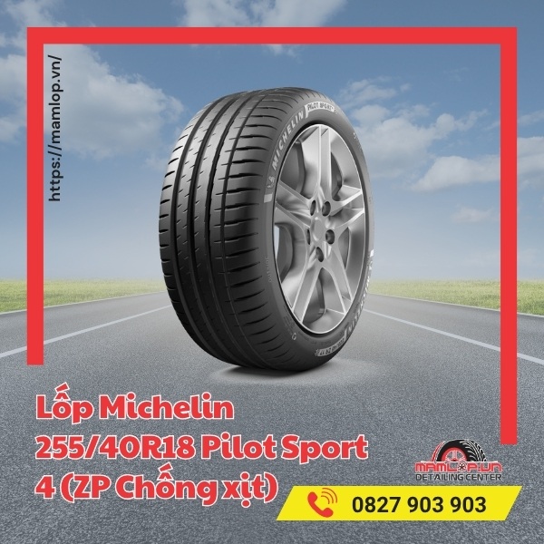Dòng xe phù hợp lốp Michelin 255/40R18 Pilot Sport 4