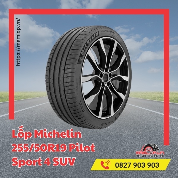 Lốp Michelin 255/50R19 Pilot Sport 4 SUV tương thích với xe gì?