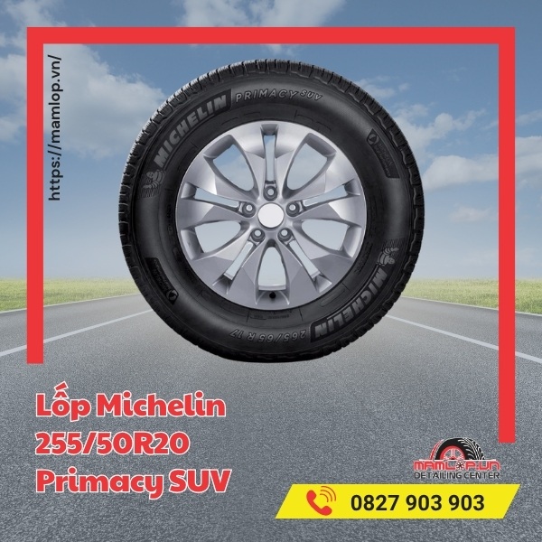 Lốp Michelin 255/50R20 Primacy SUV phù hợp với xe gì?