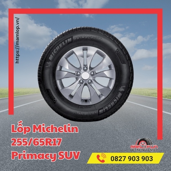 Lốp Michelin 255/65R17 Primacy SUV tương thích với xe nào?