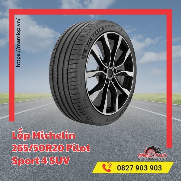 Lốp Michelin 265/50R20 Pilot Sport 4 SUV tương thích với xe gì?