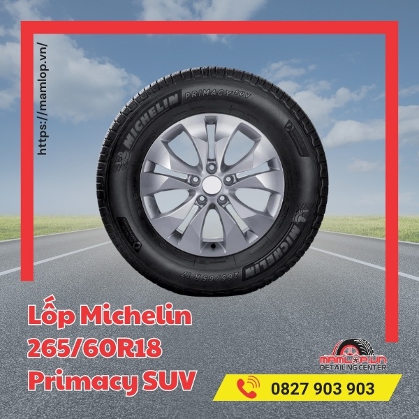 Lốp Michelin 265/60R18 Primacy SUV phù hợp với xe gì?