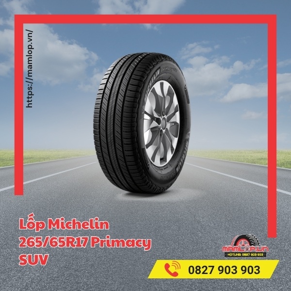 Lốp Michelin 265/65R17 Primacy SUV tương thích dòng xe nào?