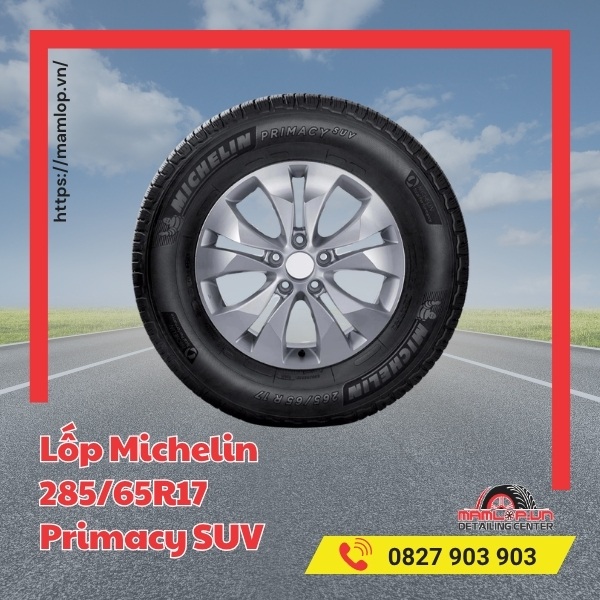 Lốp Michelin 285/65R17 Primacy SUV phù hợp với xe nào?