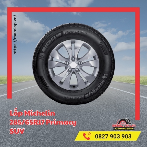 Lốp Michelin 285/65R17 Primacy SUV phù hợp với xe nào?