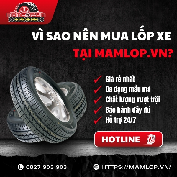 Vi sao nen mua lop xe Lexus tai Mamlop.vn?