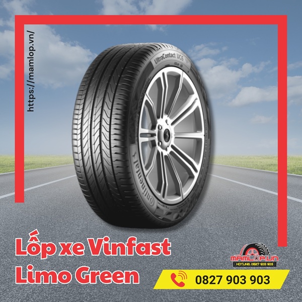 Vinfast Limo Green su dung lop loai nao?