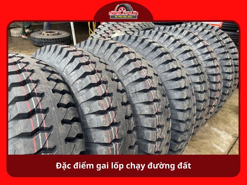 Dac diem gai lop chay duong dat