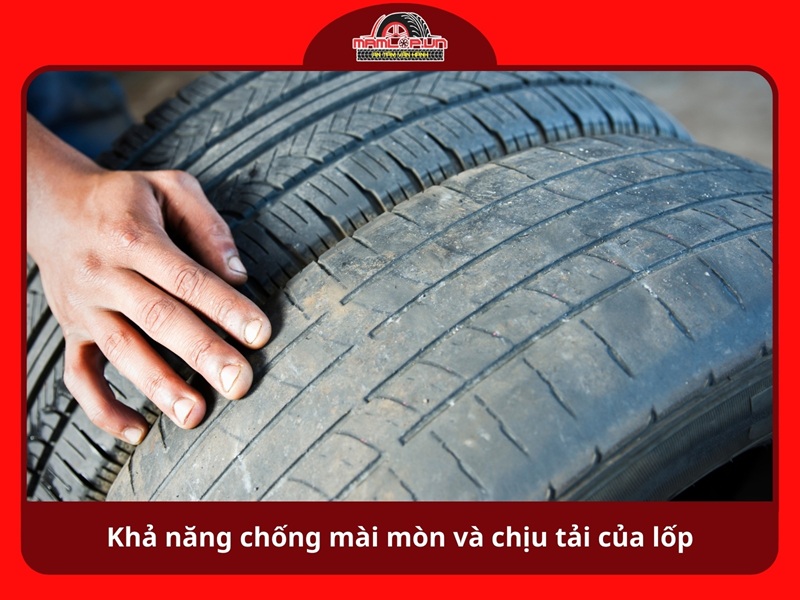 Kha nang chong mai mon va chiu tai