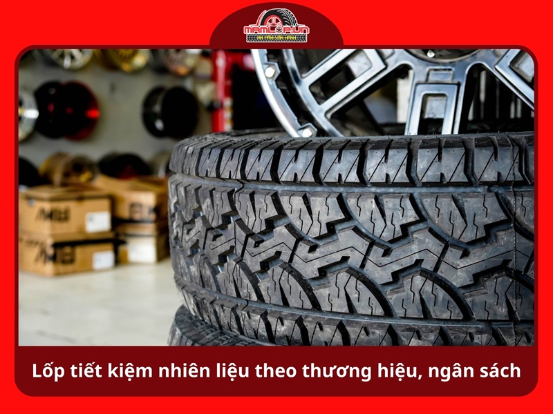 Theo thuong hieu va ngan sach