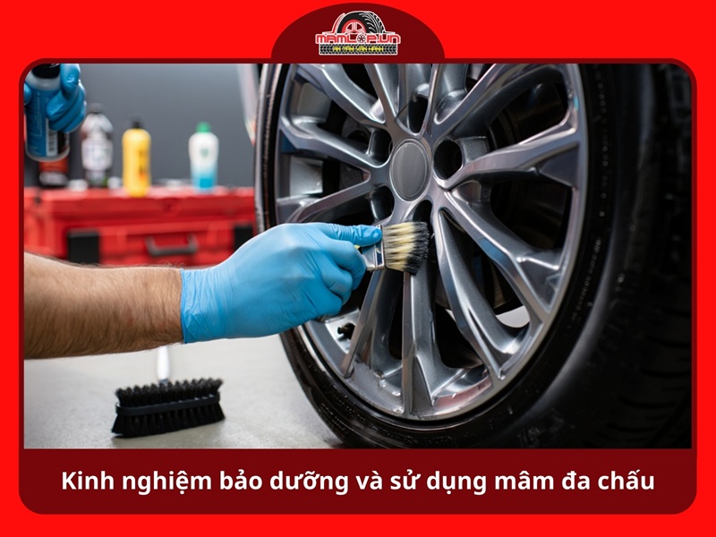 Kinh nghiem bao duong va su dung mam da chau