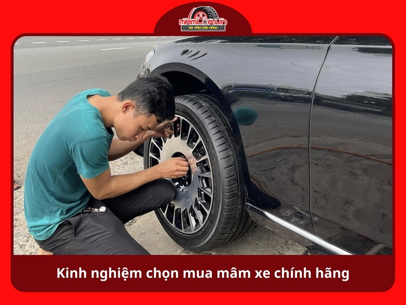 Kinh nghiem chon mua mam xe chinh hang