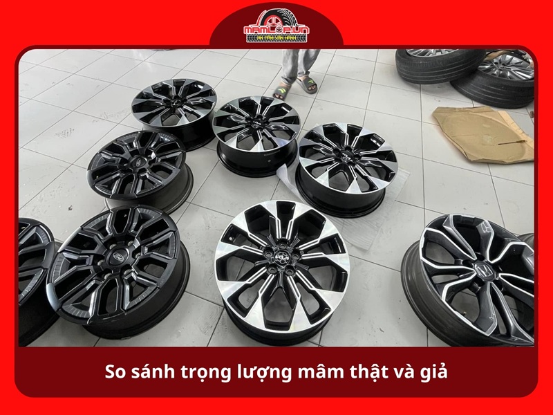 So sanh trong luong mam that va gia