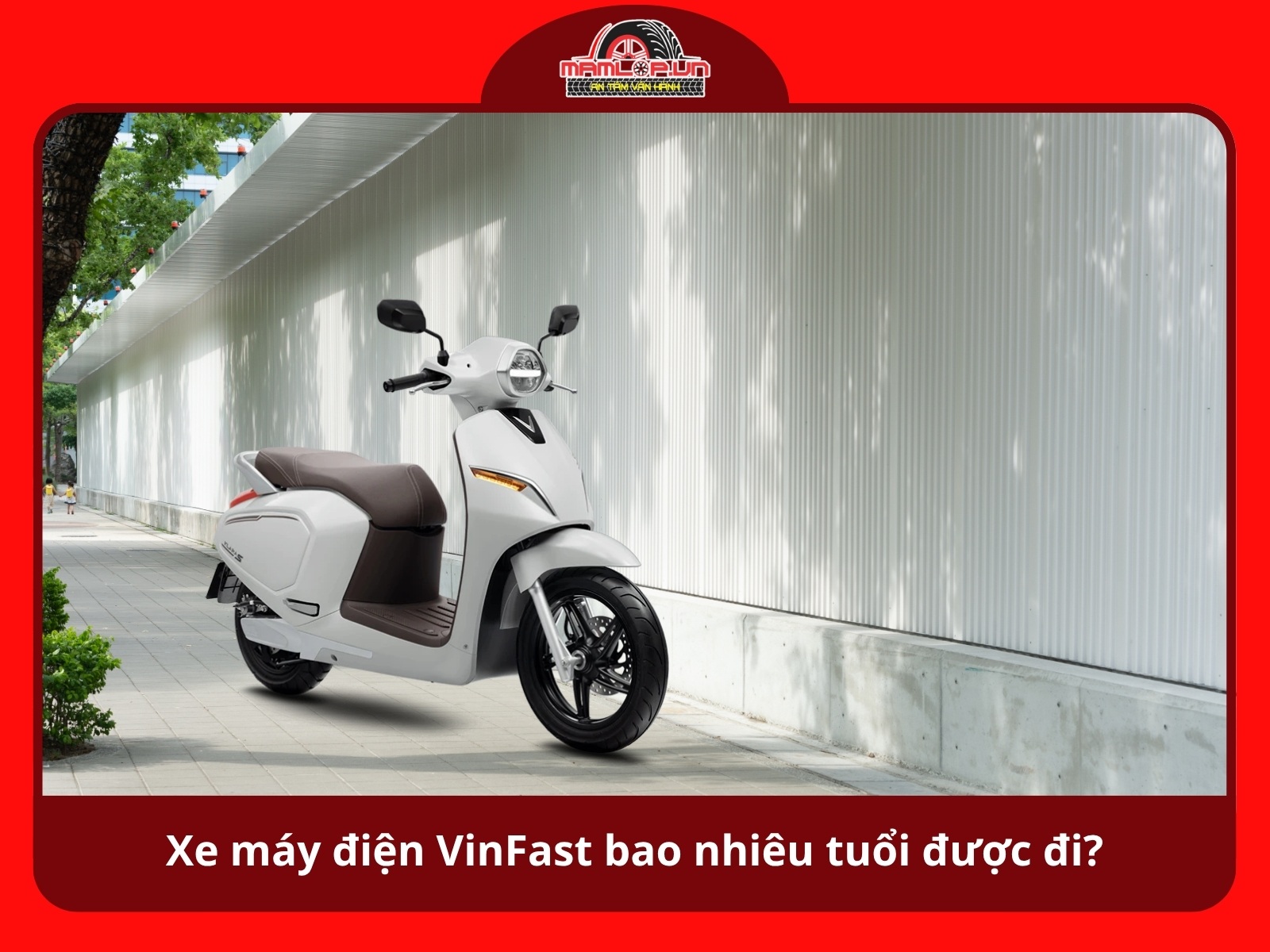 Xe may dien VinFast bao nhieu tuoi duoc di