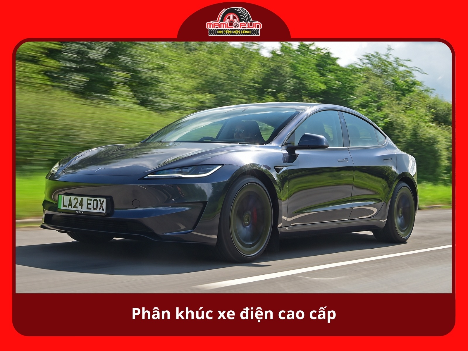 Phan khuc xe dien cao cap