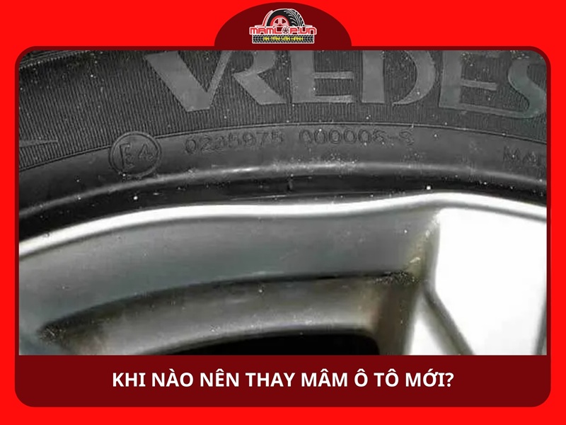 Khi nào nên thay mâm mới?