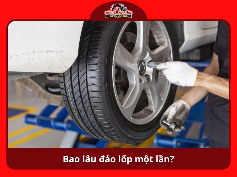 Bao lau dao lop mot lan