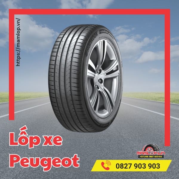 ap suat bom lop xe peugeot tieu chuan