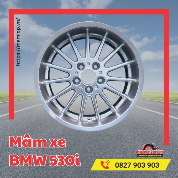 mam xe bmw 530i